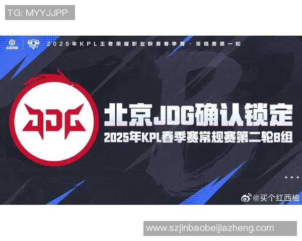 王者荣耀巨献：深入解析JDG战队的实力与战术魅力