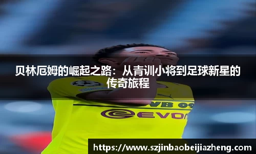 乐鱼电竞平台