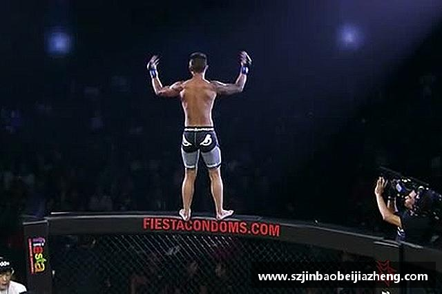关于乐鱼电竞